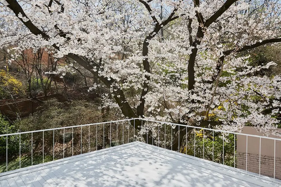 D 13